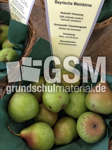 Bayrische Weinbirne.jpg